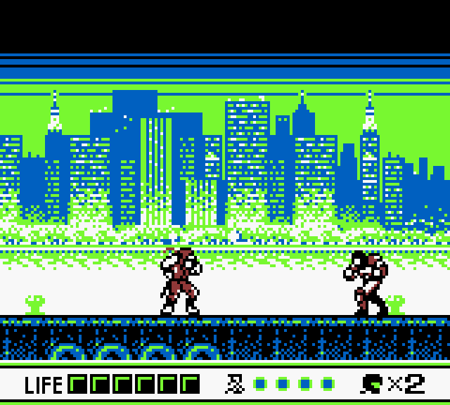 Ninja Gaiden Shadow